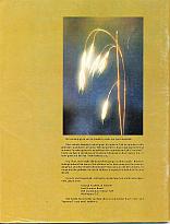 And It Is Divine magazine