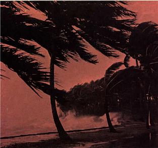 And It Is Divine magazine