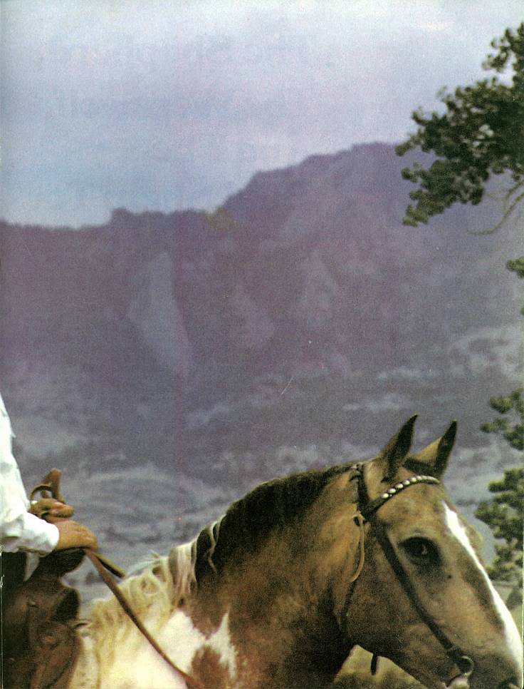 And It Is Divine magazine