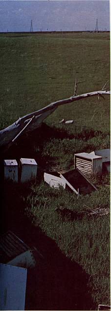 And It Is Divine magazine