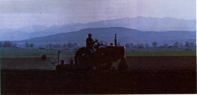 And It Is Divine magazine