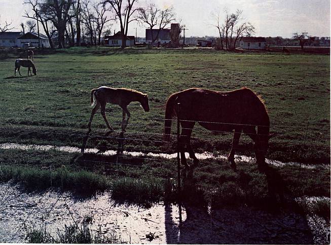 And It Is Divine magazine