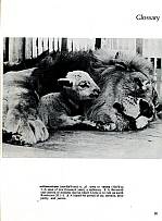 And It Is Divine magazine