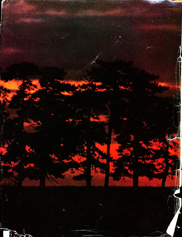 And It Is Divine magazine