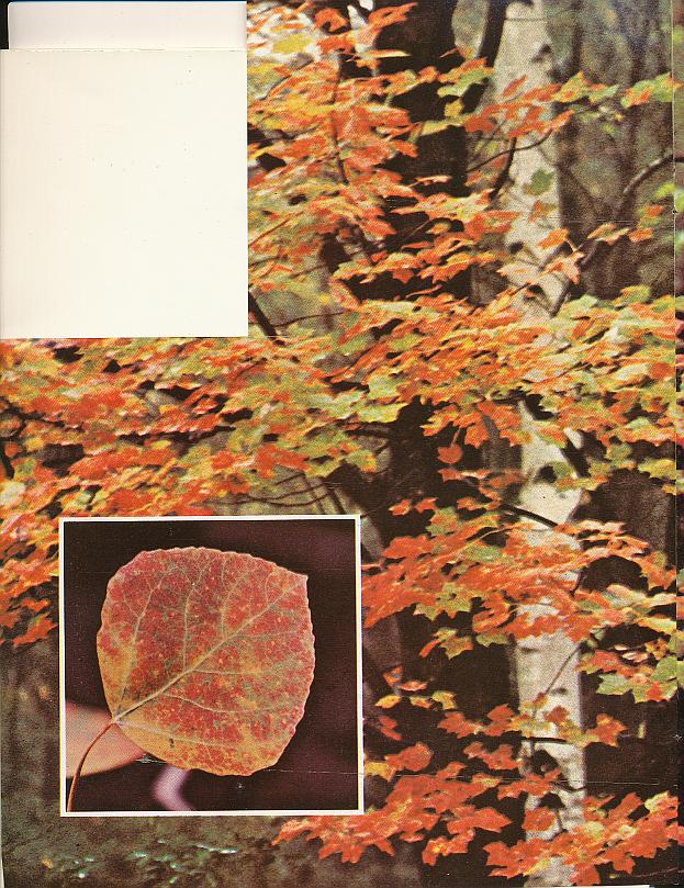 And It Is Divine magazine