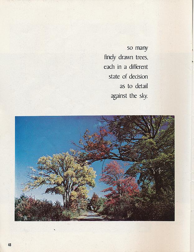 And It Is Divine magazine