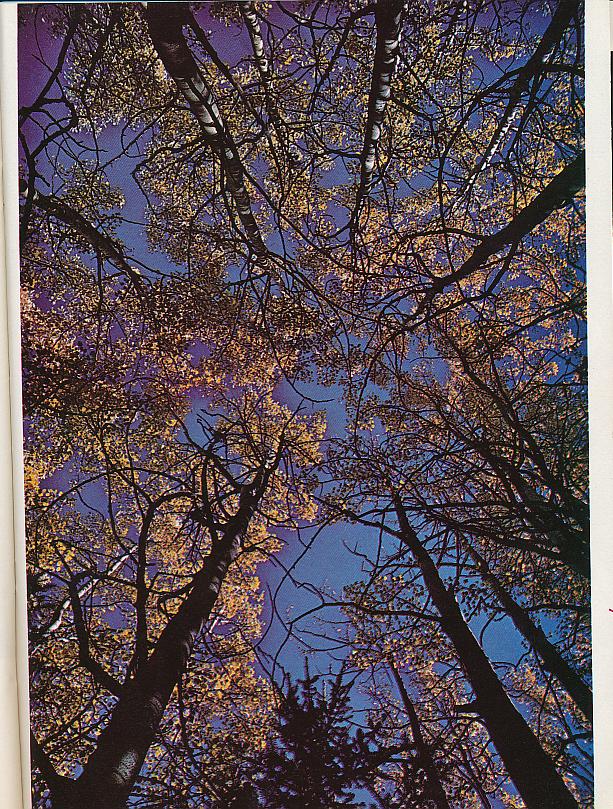 And It Is Divine magazine