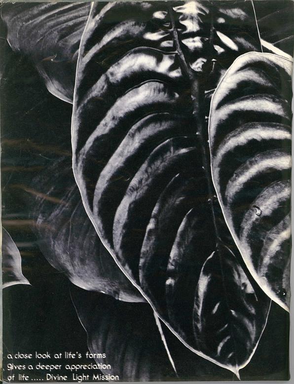 And It Is Divine magazine