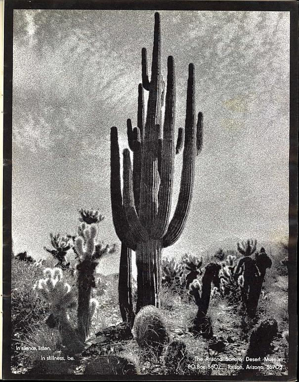 Cactus