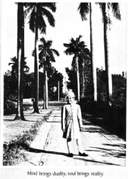 And It Is Divine magazine