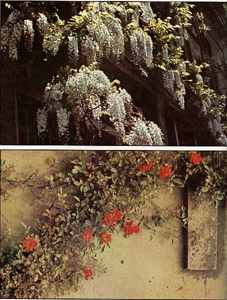 And It Is Divine magazine