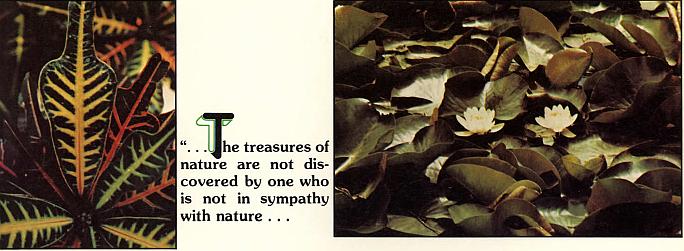 And It Is Divine magazine