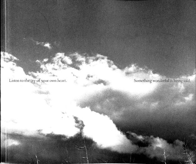 Listen to the Cry of Your Own Heart: Something Wonderful Is Being Ssid Prem Rawat Listening to the Cry of His Heart