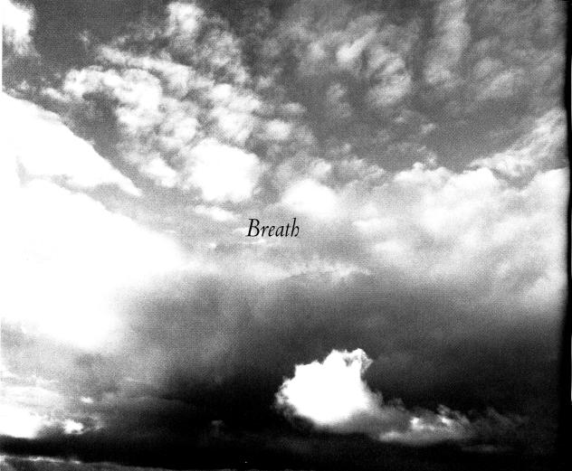 Breath Prem Rawat Listening to the Cry of His Heart