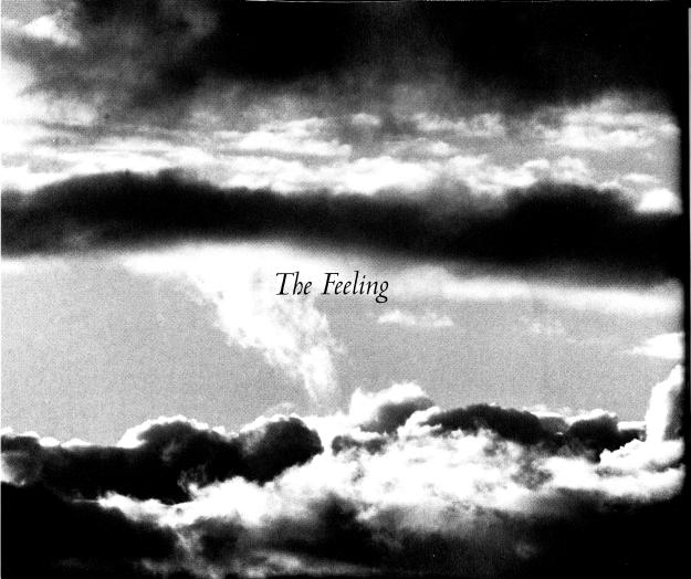 The Feeling Prem Rawat Listening to the Cry of His Heart