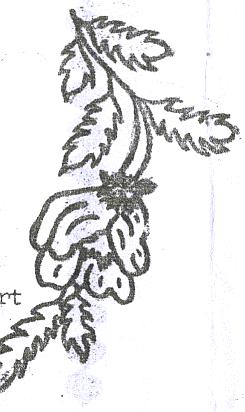 Brotherly Love newsletter