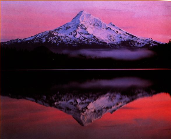 The Words and Wisdom of Maharaji