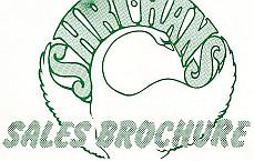 Divine Times magazine