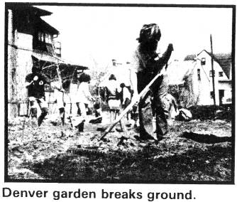Denver garden breaks ground.