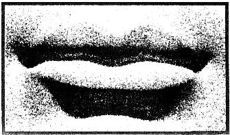 Divine Times magazine