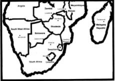 Divine Times Magazine About Prem Rawat (Maharaji)