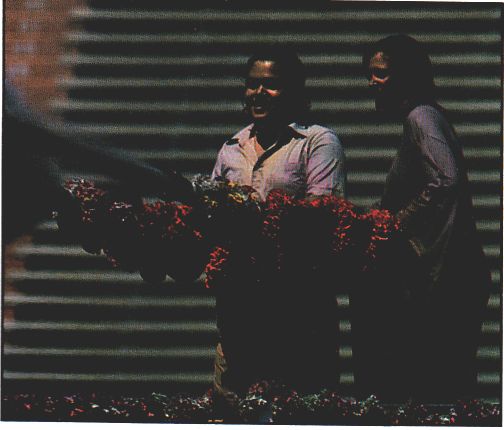 Prem Rawat (Maharaji) and Wife Durga Ji Holi Festival 1978