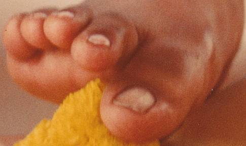 Prem Rawat's (Maharaji) Divine Lotus Feet