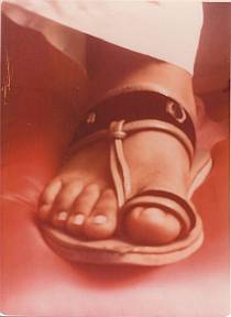 Prem Rawat's (Maharaji) Divine Lotus Feet