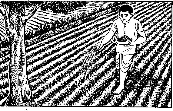 The Secret Knowledge - Satpal Ji Maharaj