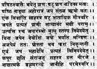 The Life of Shri Hans Ji Maharaj