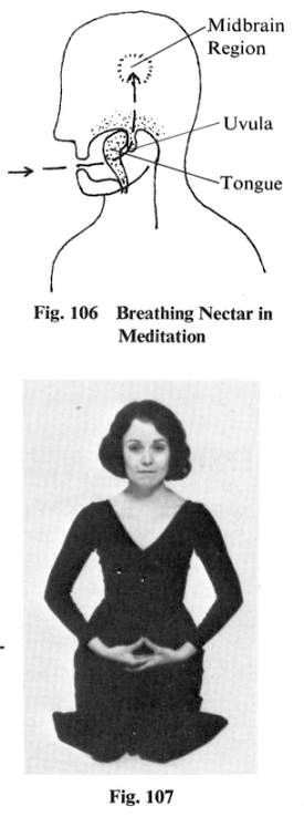 Macrobiotic Meditation