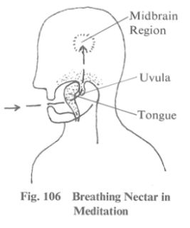 Prem Rawat's Meditation Techniques