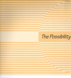 the_possibility