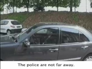 French Documentary about Maharaji and Elan Vital