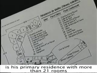 French Documentary about Maharaji and Elan Vital