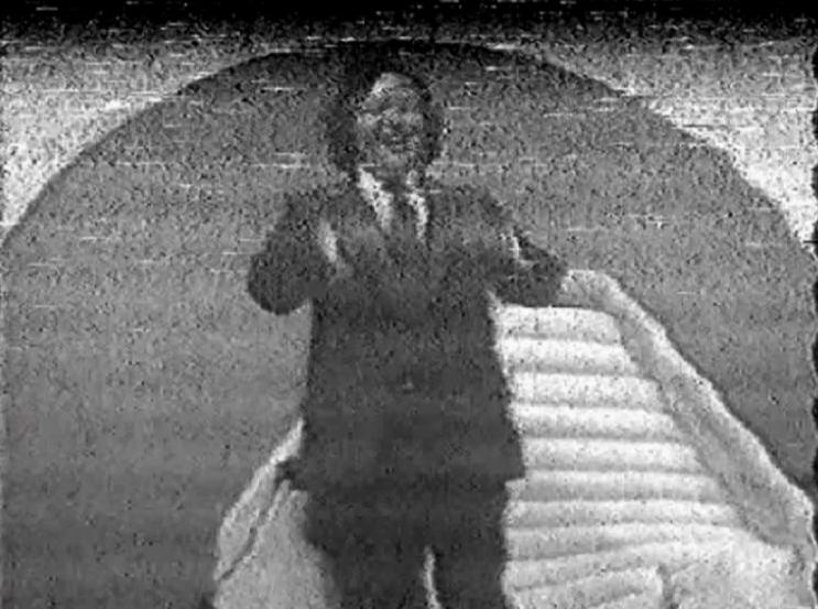 Prem Rawat - Art - at Hans Jayanti 1978