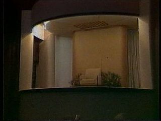 Prem Rawat, Hans Jayanti 1981