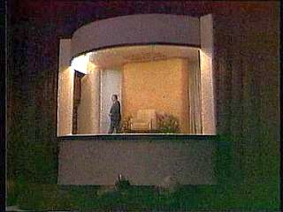 Prem Rawat, Hans Jayanti 1981