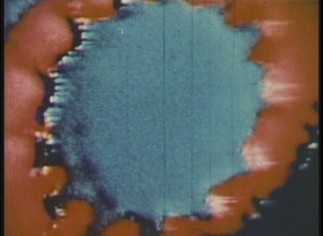 Click To See Summary of First Section of Film