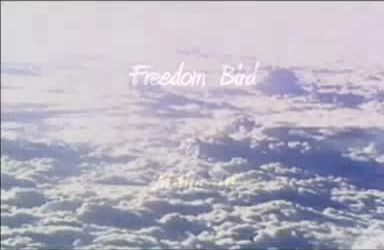 The Freedom Bird, A Poem by Prem Rawat - Aviator
