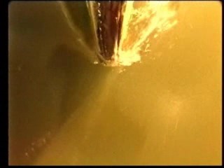 Prem Rawat: Live This Moment