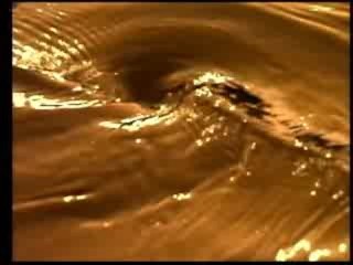 Prem Rawat: Live This Moment