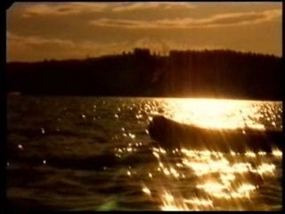 Prem Rawat: Live This Moment